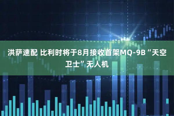 洪萨速配 比利时将于8月接收首架MQ-9B“天空卫士”无人机