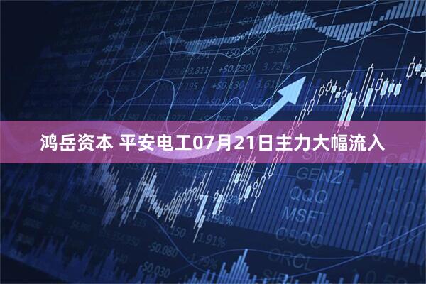 鸿岳资本 平安电工07月21日主力大幅流入