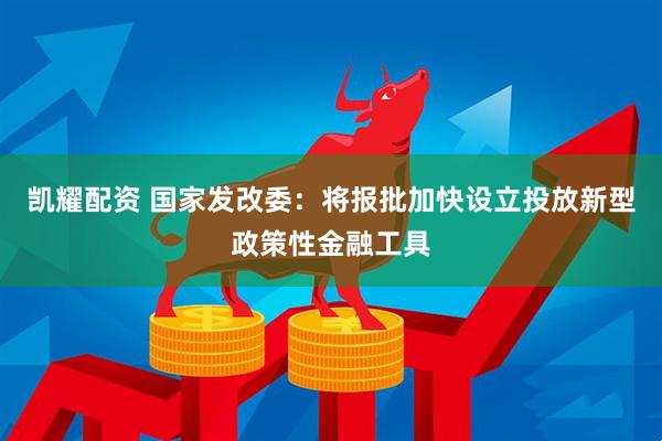 凯耀配资 国家发改委：将报批加快设立投放新型政策性金融工具