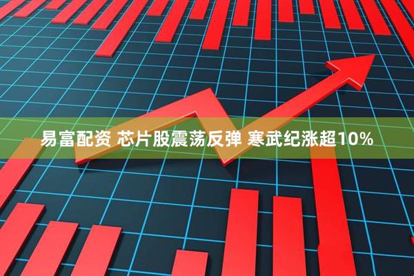 易富配资 芯片股震荡反弹 寒武纪涨超10%