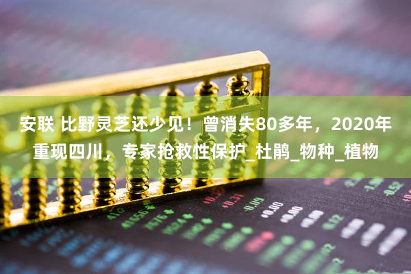 安联 比野灵芝还少见！曾消失80多年，2020年重现四川，专家抢救性保护_杜鹃_物种_植物