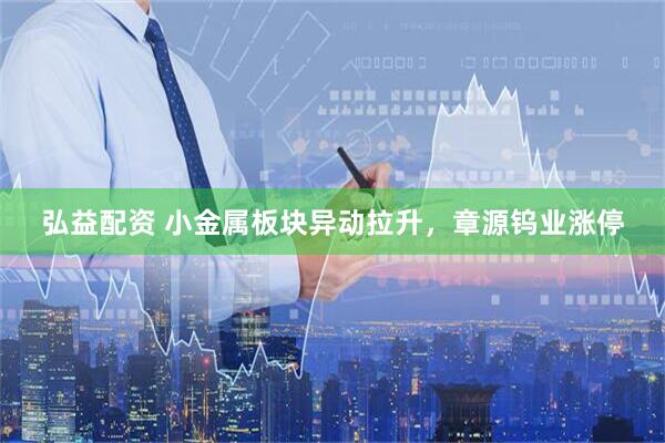 弘益配资 小金属板块异动拉升，章源钨业涨停