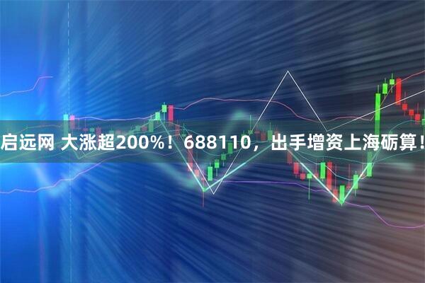启远网 大涨超200%！688110，出手增资上海砺算！